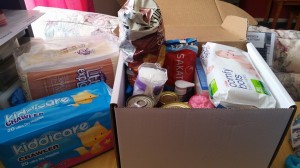 Hamper for DV Survivor