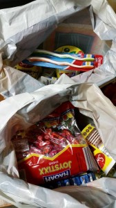 Ingrid Carlsson's Donation