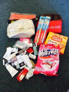 Karen Hamilton's donation