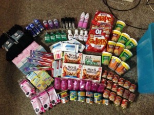 Tanya Lamaro donations 